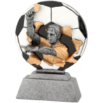 FG1020 resin w95 h135 referee